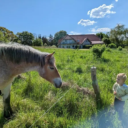 Fischersruh Plauer * Alt Schwerin