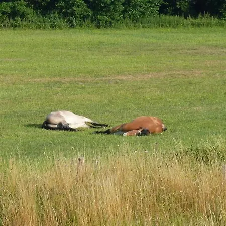 Hébergement de vacances Fischersruh Plauer Alt Schwerin