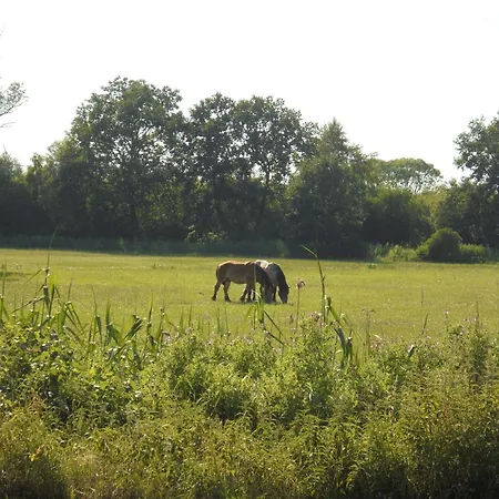 Fischersruh Plauer Ferienhaus Alt Schwerin