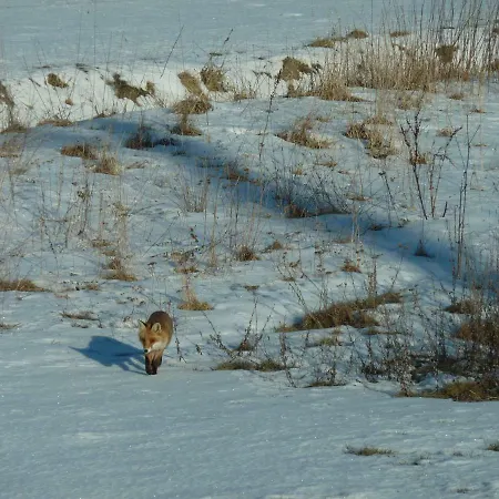 Fischersruh Plauer Hébergement de vacances