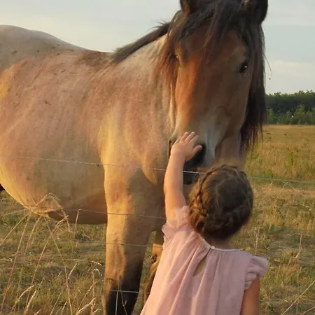 Ferienhaus Fischersruh Plauer Alt Schwerin