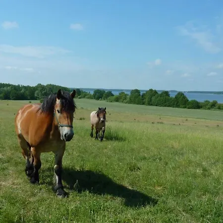 Ferienhaus Fischersruh Plauer Alt Schwerin