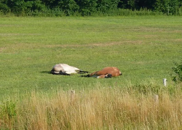 בית נופש Fischersruh Plauer אלט שוורין