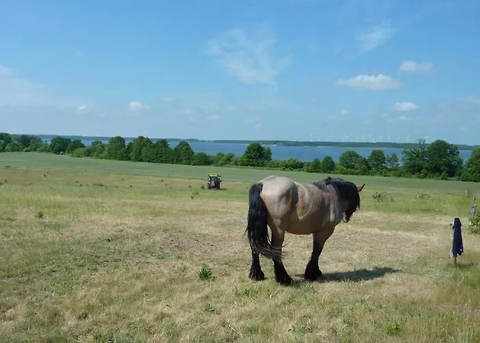 Fischersruh Plauer * אלט שוורין