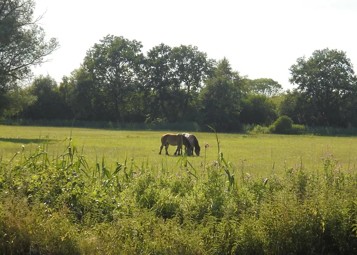 Fischersruh Plauer בית נופש אלט שוורין