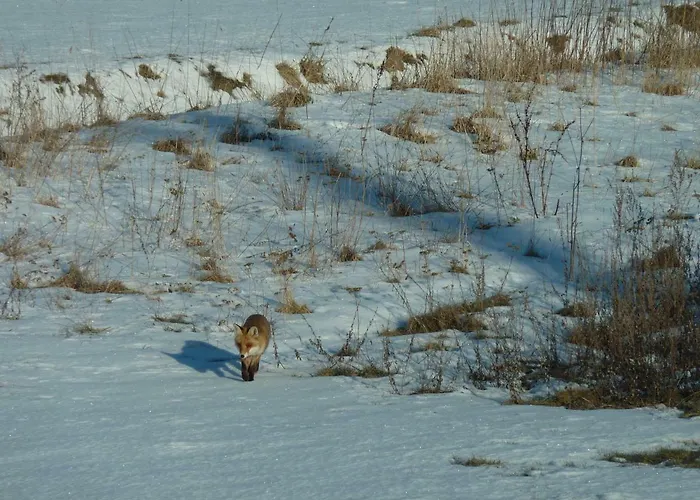 Fischersruh Plauer בית נופש