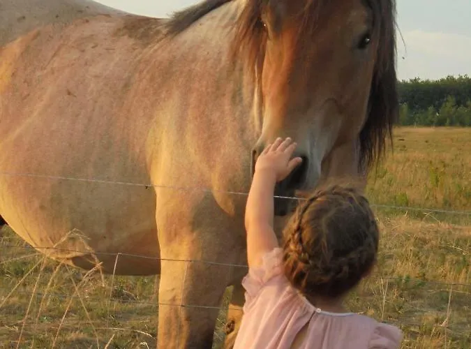 בית נופש Fischersruh Plauer אלט שוורין