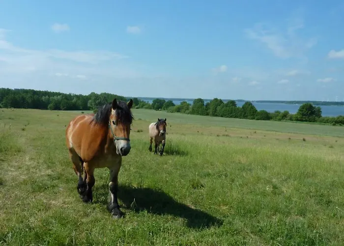 בית נופש Fischersruh Plauer אלט שוורין